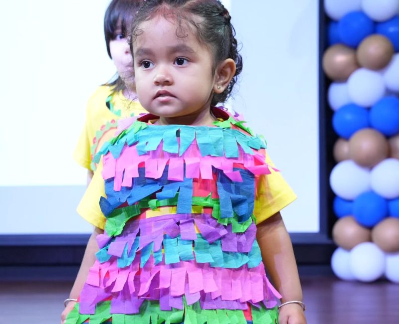 Littleminds Nursery (5)